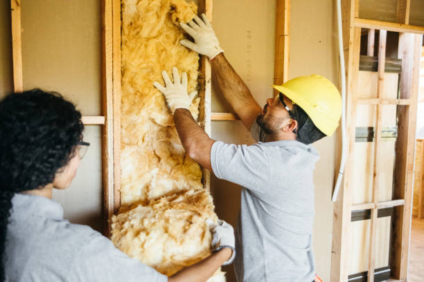 Best Eco-Friendly or Green Insulation Solutions  in Pleasant Hill, IA